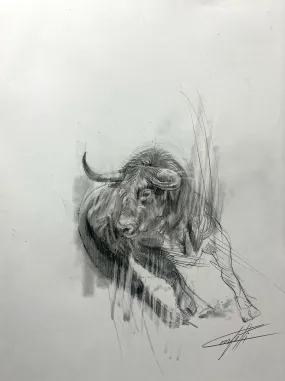 Animal sketch ''Thebull wallstreet study number 2'' of the artist Confetti in graphite pencil on paper