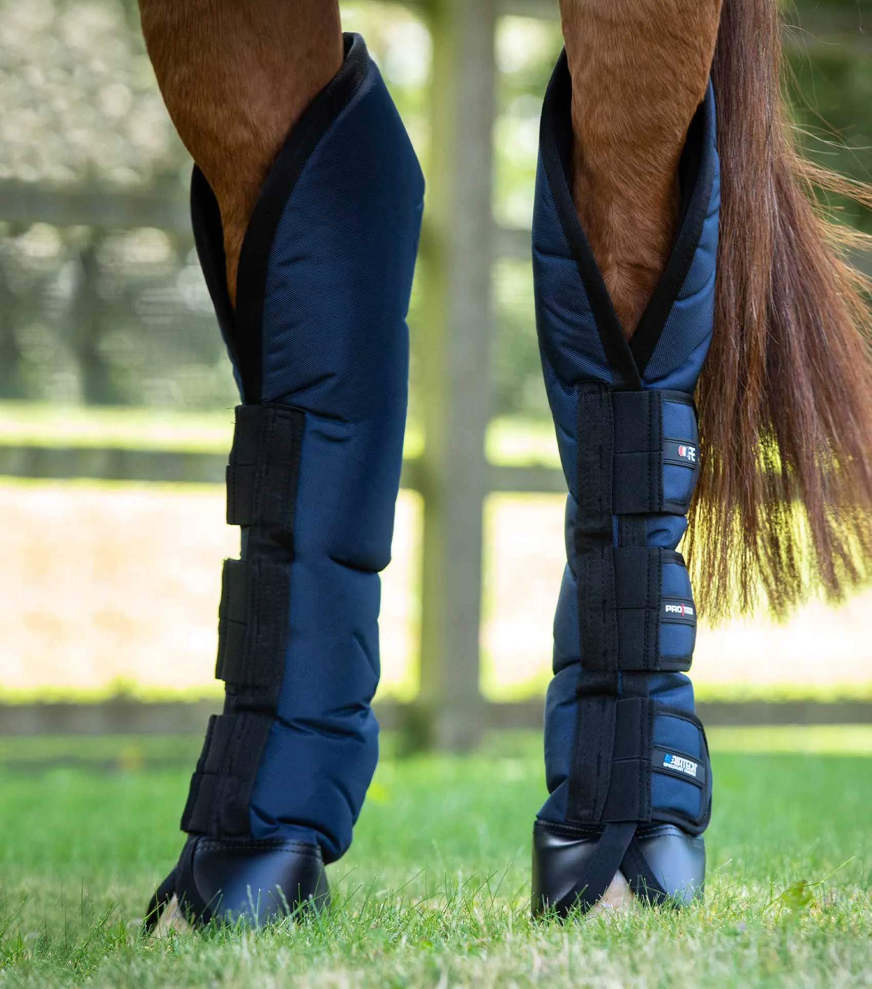 Ballistic Knee Pro-Tech Horse Travel Boots Navy