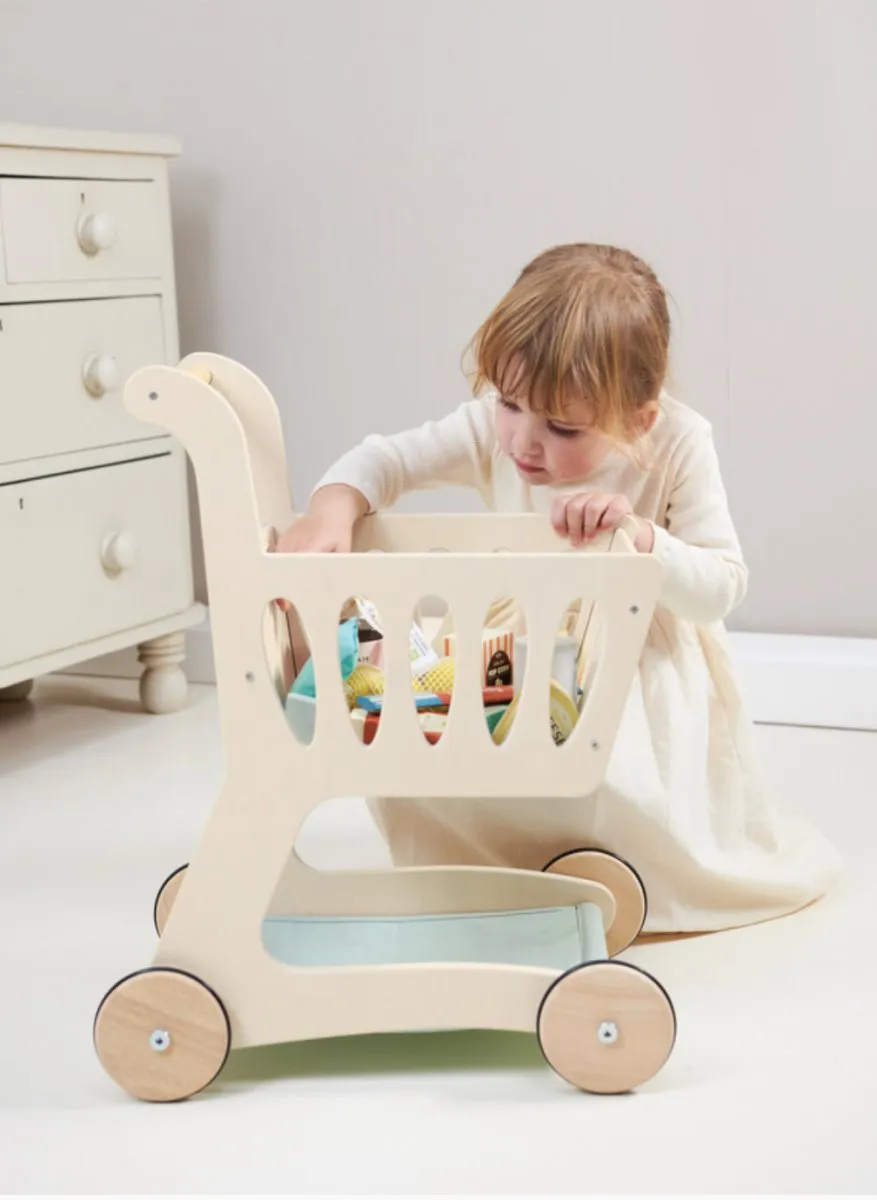 Shopping Cart Toy - Tender Leaf Toys