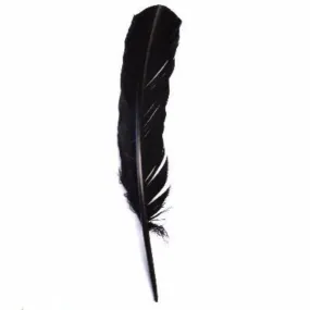 Turkey Wing Quill  Feather x 5 pcs - Black ((SECONDS))