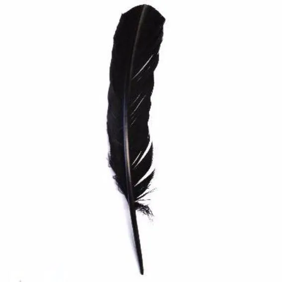 Turkey Wing Quill Feather x 5 pcs - Black