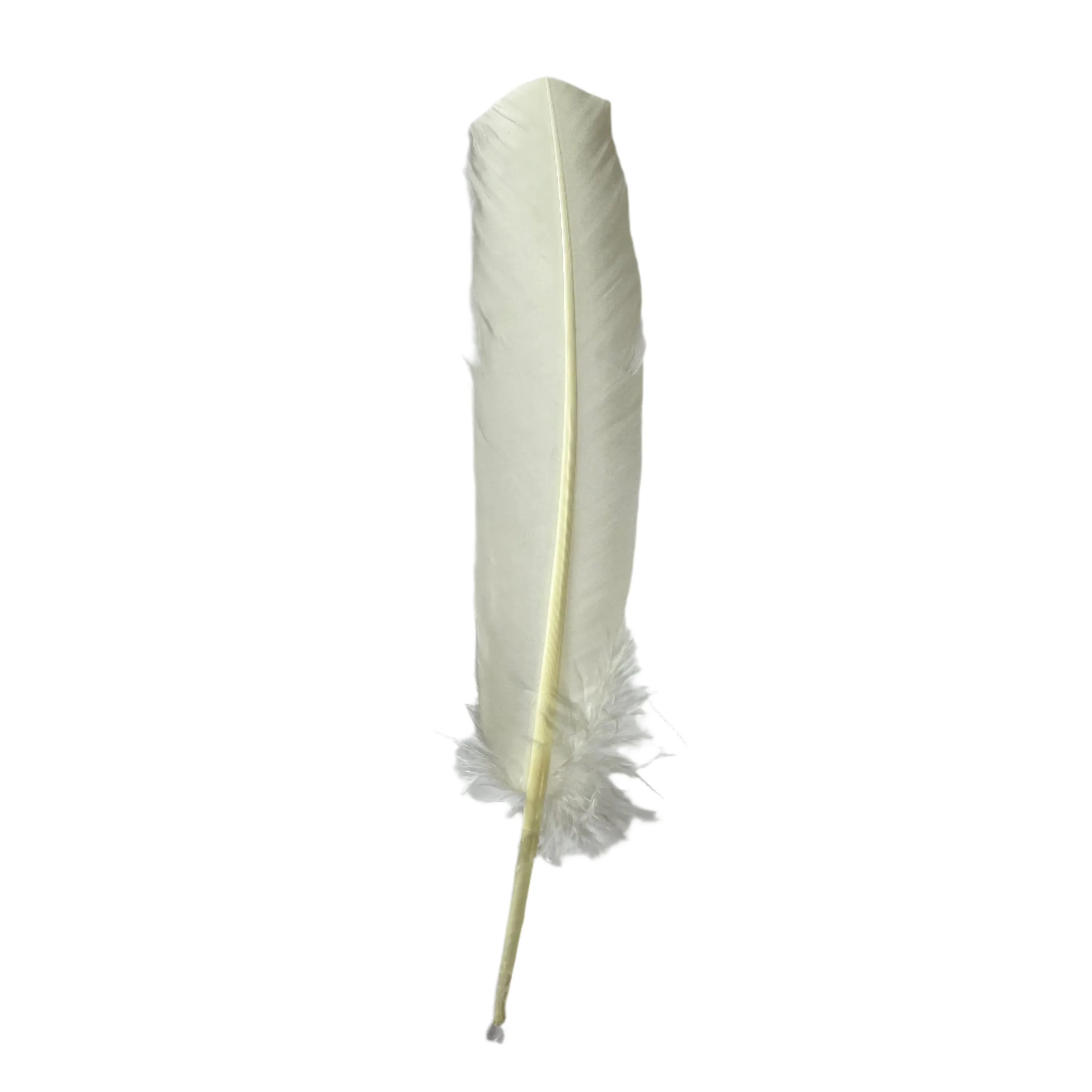 Turkey Wing Quill Feather x 5 pcs - Dark Ivory ((SECONDS))