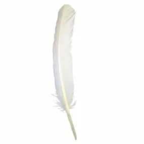 Turkey Wing Quill Feather x 5 pcs - Ivory ((SECONDS))