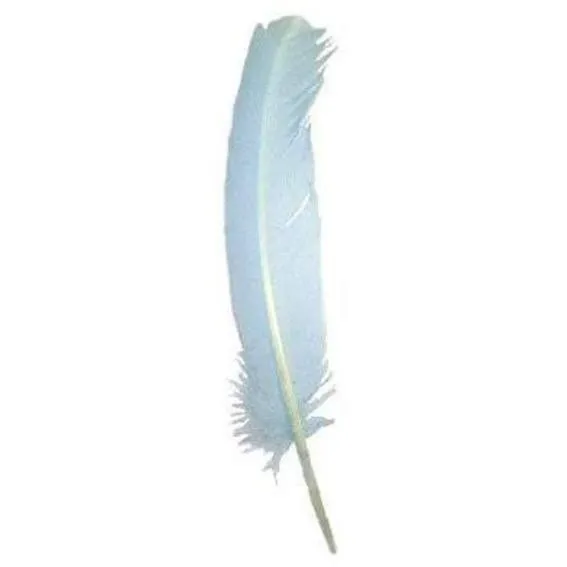 Turkey Wing Quill Feather x 5 pcs - Light Blue ((SECONDS))