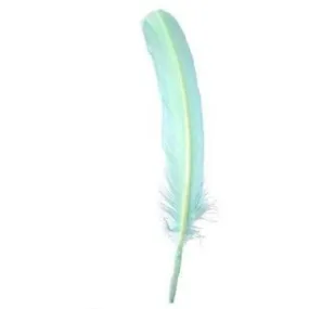 Turkey Wing Quill Feather x 5 pcs - Mint Green ((SECONDS))