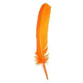 Turkey Wing Quill Feather x 5 pcs - Orange