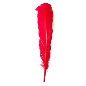 Turkey Wing Quill Feather x 5 pcs - Red ((SECONDS))