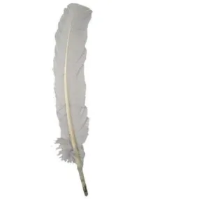 Turkey Wing Quill Feather x 5 pcs - Silver Grey