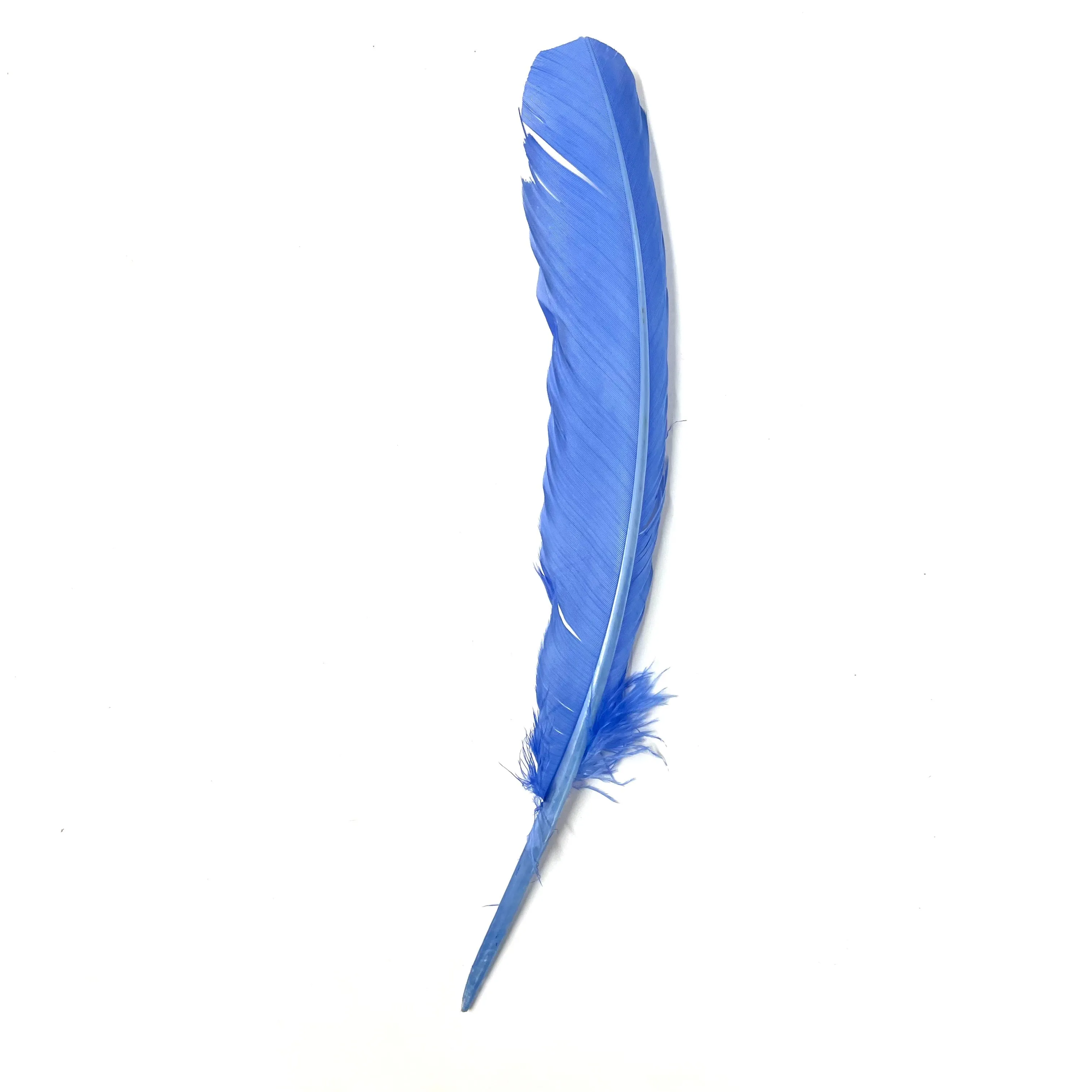 Turkey Wing Quill Feather x 5 pcs - Wedgewood Blue