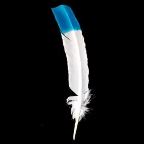 Turkey Wing Quill Feather x 5 pcs - White with Turquoise Tip